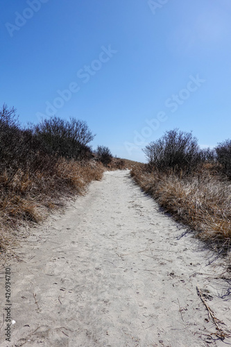 Long vertical view of a curved sandy trail through brown tall grass and bushes