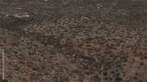 Desert Snow in Arizona Mountains