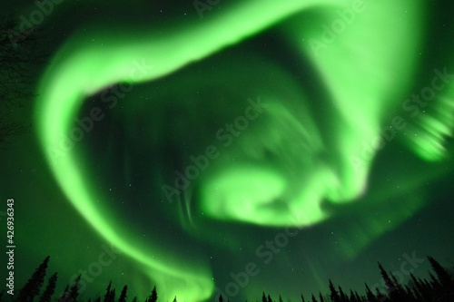 Aurora Borealis - Northern Lights in the sky's of Alaska Interior