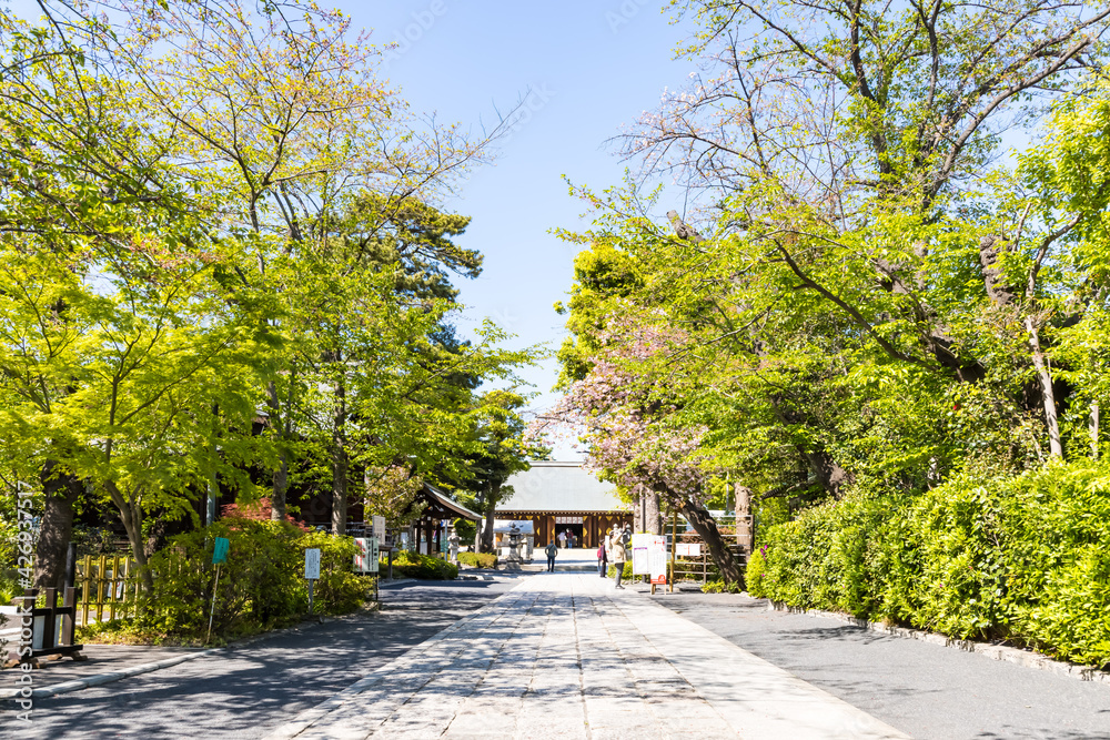 (東京都ｰ風景)青空の松陰神社参道１