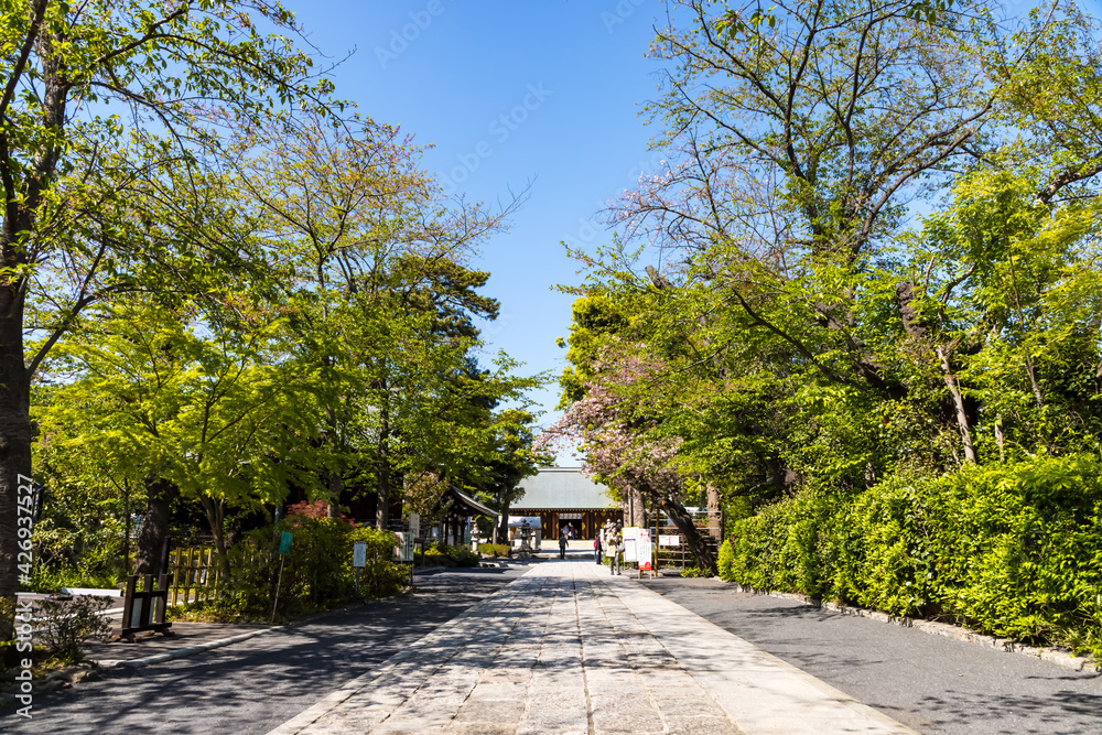 (東京都ｰ風景)青空の松陰神社参道２