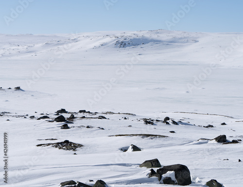 Typical winter landscape on a plateau in Hardangervidda National Park, Norway photo