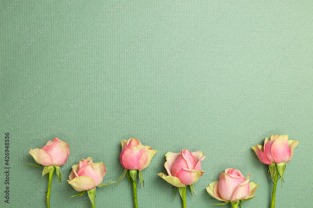 Pink rose flowers on green background. flat lay, top view, copy space