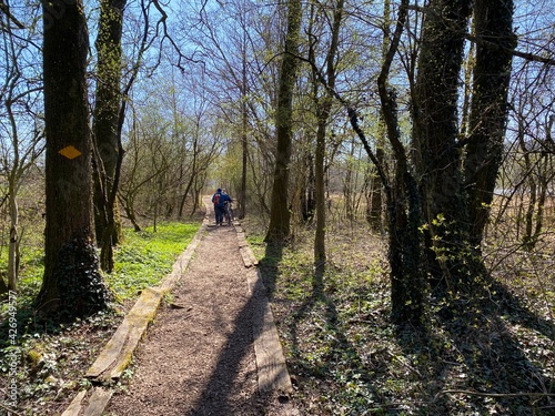 Recreational trails and promenades along the Lake Mauensee or Lake Mauen (Mauesee) - Canton of Lucerne, Switzerland (Schweiz) photo