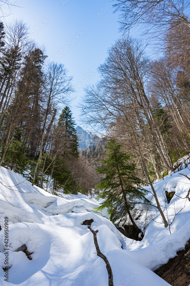 Verschneites Seitental in rumänischen Karpaten im Winter