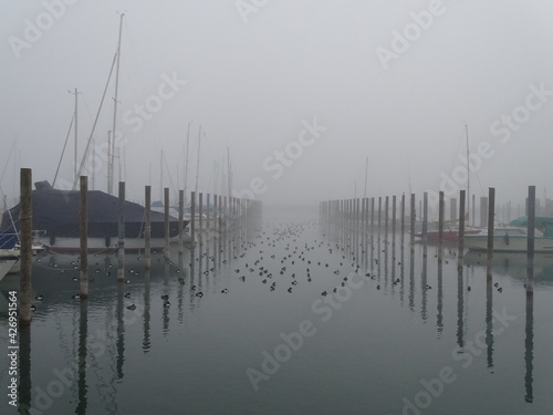 boats in the harbor at sunrise