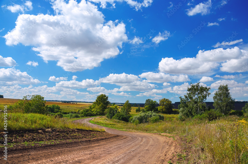 Sunny summer rural landscape with dirt country road and green trees.