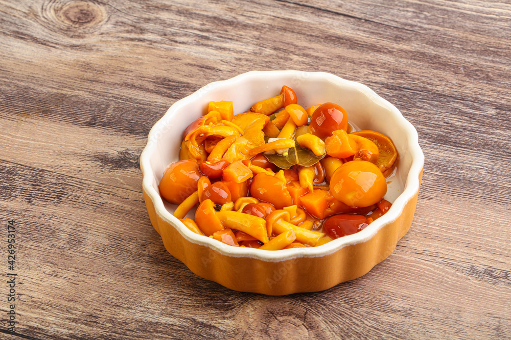 Marinated pickled honey mushrooms in the bowl Marinated pickled honey mushrooms in the bowl