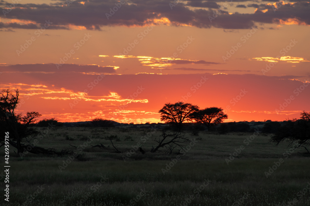 Kgalagadi sunset in South Africa during the month of March showing amazing vibrant colors.