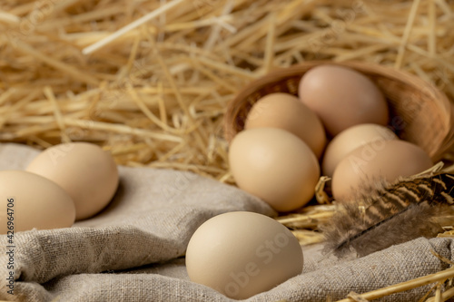 Fresh chicken eggs on the farm. Organic wholesome food concept close-up. Copy space.