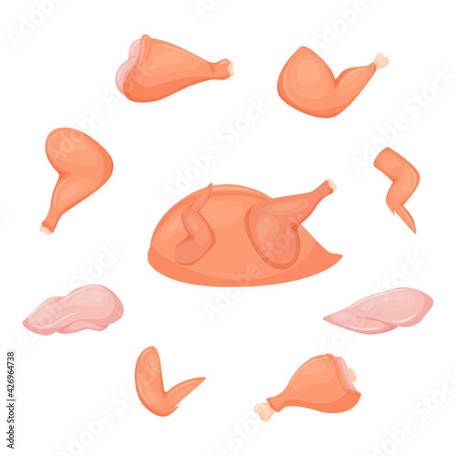 A set of chicken ingredients. Raw chicken breast, ham, wing, shin. A whole chicken. Meat food. A product of animal origin. A flat, cartoon vector illustration isolated on a white background.