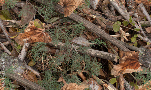 A Woodland seamless Camouflage Pattern for hunting cloth, guns and vechicles