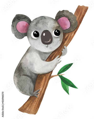 Photography Cute koala baby animal watercolor clip art hand painted illustration for childish goods, invitations, baby shower, birthday party, prints
