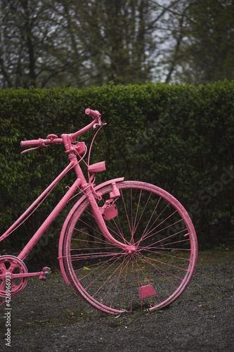 Pink bicycle in the park