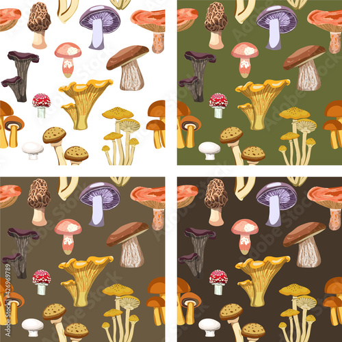 Set of 4 Realistic Fungi Mushrooms  Seamless Pattern Background photo