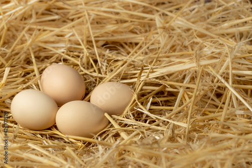 Fresh chicken eggs. Organic farm eggs on straw background. Copy space.