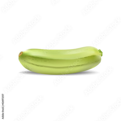 Fresh, realistic vegetable marrow on a white isolated background.