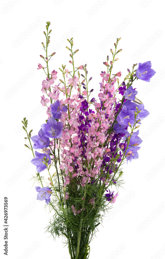 Obraz premium bouquet of meadow flowers isolated