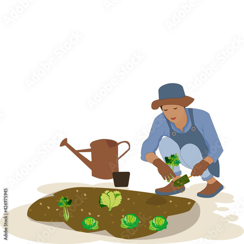 Woman planting gardens vegetables , agriculture gardener hobby and garden job. Gardening person,Gardener  lady squatting to grow vegetables by holding a shovel .Vector illustration flat design