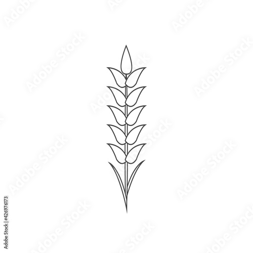 Minimalistic wheat line icon. Simple barley, weat, rice outline logo vector illustration. Linear Wheat isolated on white background. Farm and Bakery symbol