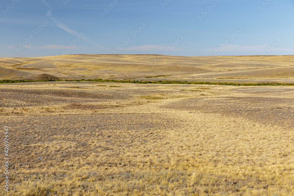 Steppe in Kazakhstan. Dry grass in the empty steppe. Kazakhstan landscape.