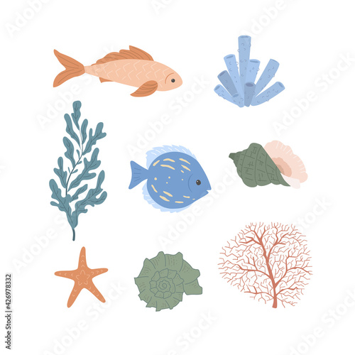 Set of nautical elements. Fish, coral, shell, starfish, seaweed. Sea life. Flat vector cartoon illustration isolated on white