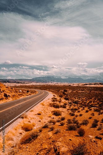 road in desert