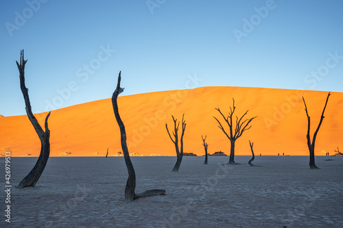 The red sand dunes of Namibia, the incredible natural scenery of Africa. The driest and sparsely populated area in the world.