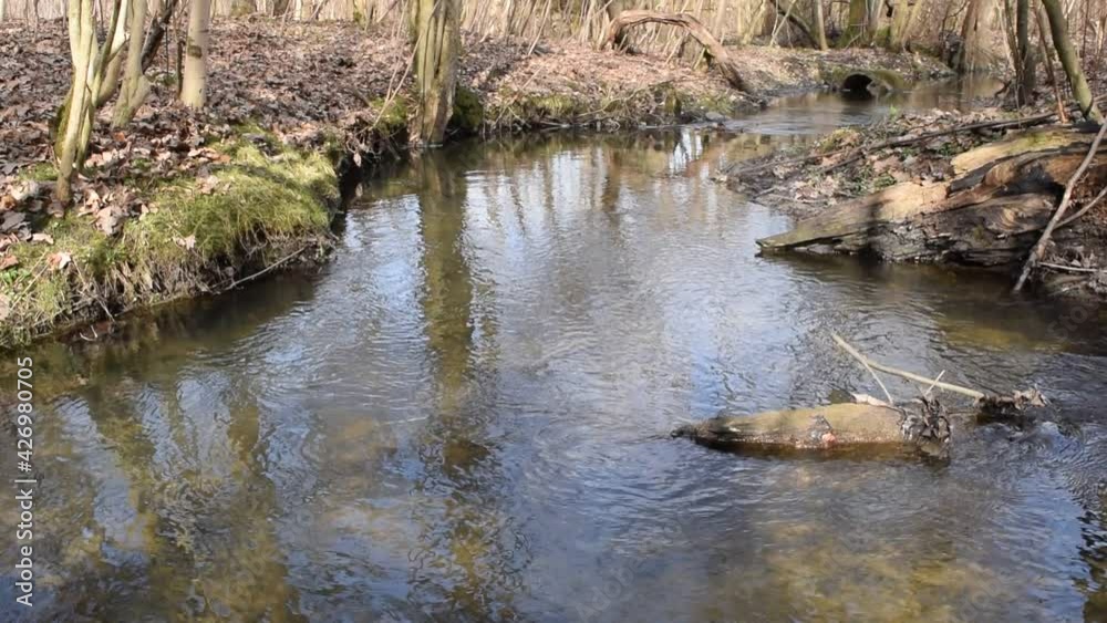 Water flow in a small river in an old park. Water flow in a small river in an old park.