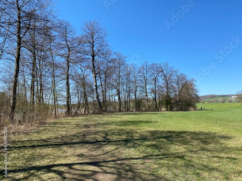 Natural landscape with early spring pastures and mixed forests on the glades and hills above Lake Mauensee or Lake Mauen (Mauesee) - Canton of Lucerne, Switzerland (Schweiz) photo