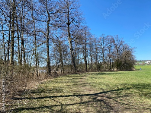 Natural landscape with early spring pastures and mixed forests on the glades and hills above Lake Mauensee or Lake Mauen (Mauesee) - Canton of Lucerne, Switzerland (Schweiz) photo