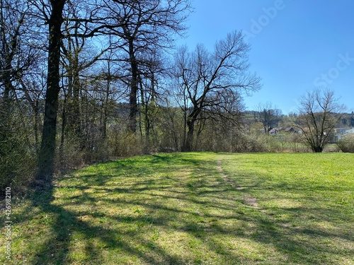 Natural landscape with early spring pastures and mixed forests on the glades and hills above Lake Mauensee or Lake Mauen (Mauesee) - Canton of Lucerne, Switzerland (Schweiz) photo