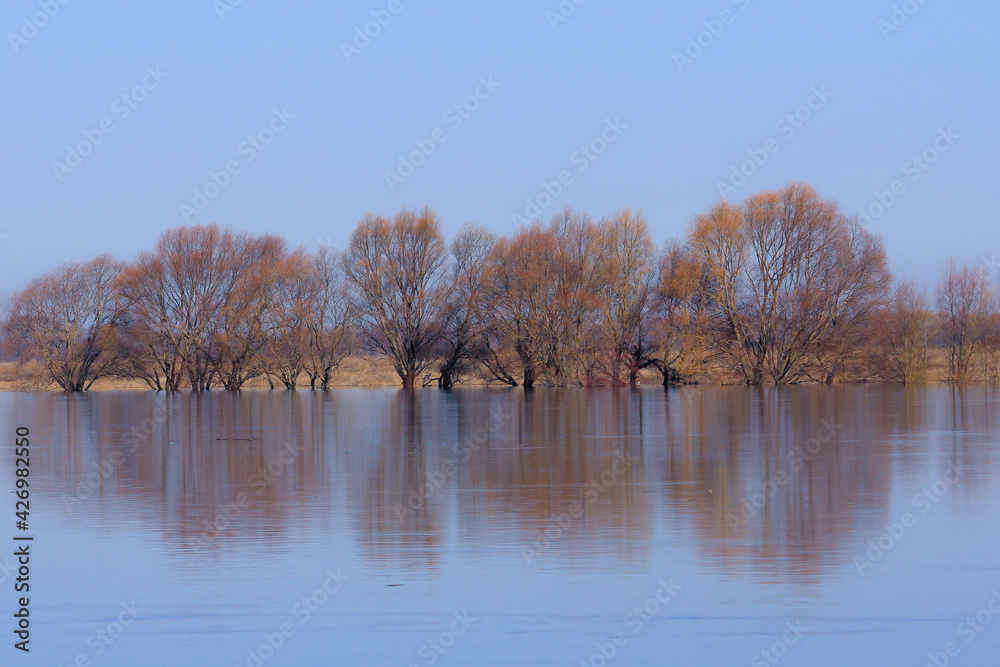 Obraz premium Flooded trees on the banks of the Oka river in Russia and its reflections, in golden-blue tones.