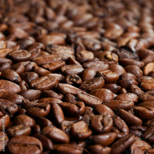 Roasted coffee beans