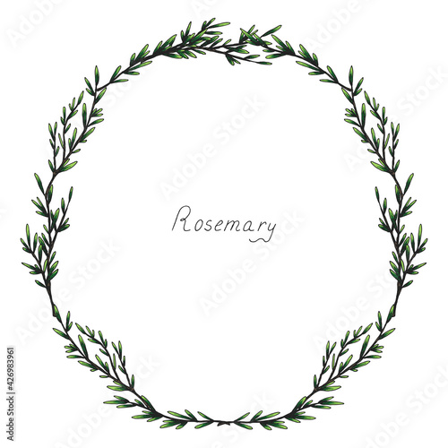 Rosemary. Laurel wreath. Sprig of plants with leaves. Fragrant Italian seasoning for food. Black and white drawing in the old vintage style. Hand-drawn ink sketch. Isolated illustration