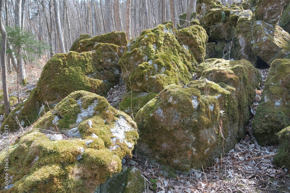 Forest stones covered with moss Forest stones covered with moss
