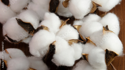 close up of harvested cotton on wooden background