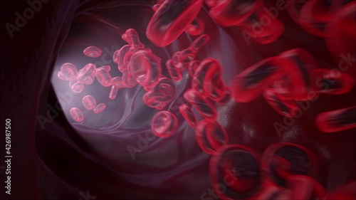 Bloodstream, Red blood cells, erythrocytes, in a blood vessel, artery or vein, 3d animation, loop

