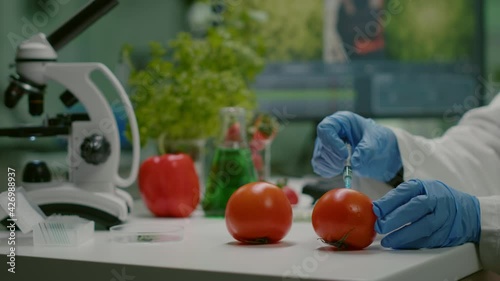 Closeup of chemist scientist injecting organic tomato with pesticides for gmo test. Biochemist working in pharmacology laboratory testing health food for microbiology expertise