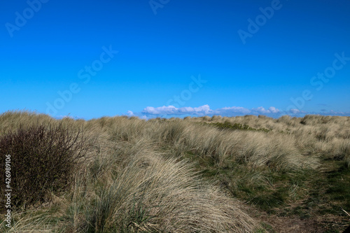 Pathway Through Shrubs and Marram Grass at a Coastal Location