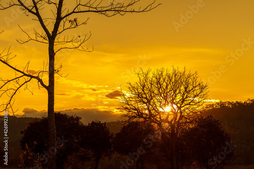 Sunset behind tree with mountain hill forest. with Sunlight Sunbeam or Sunray star through the tree.