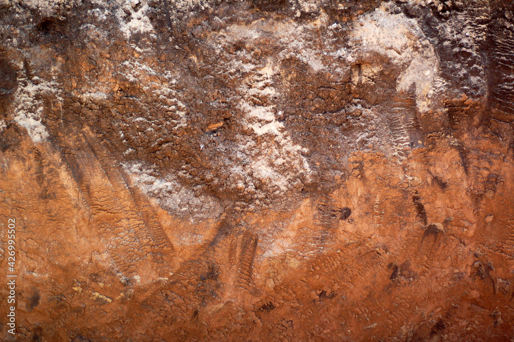Fototapeta premium Soil layers. Geology. Exploring the Earth.