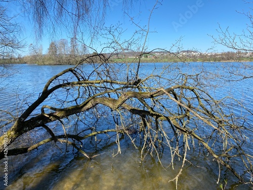 Late winter and early spring on the lake Mauensee or Lake Mauen (Mauesee) - Canton of Lucerne, Switzerland (Schweiz) photo