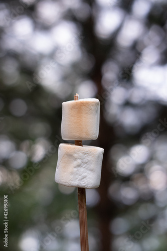 marshmallow on the stick