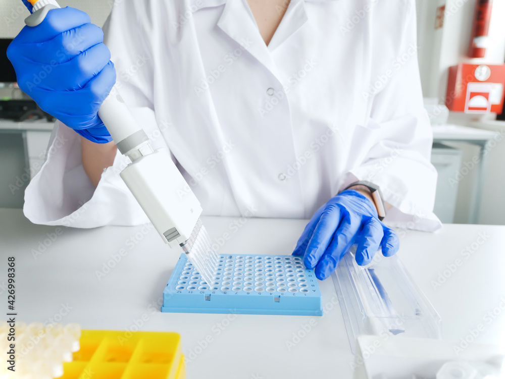 hands of scientist working with multichannel pipette and multi well plates. research technician with multipipette in genetic laboratory. genetic and cancer screening, medical technology and therapy.