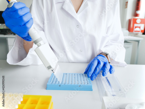Obraz na płótnie hands of scientist working with multichannel pipette and multi well plates. research technician with multipipette in genetic laboratory. genetic and cancer screening, medical technology and therapy. w salonie