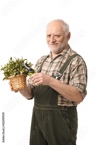 Canvas Print Elderly hobby gardener with plant and clippers, isolated on white
