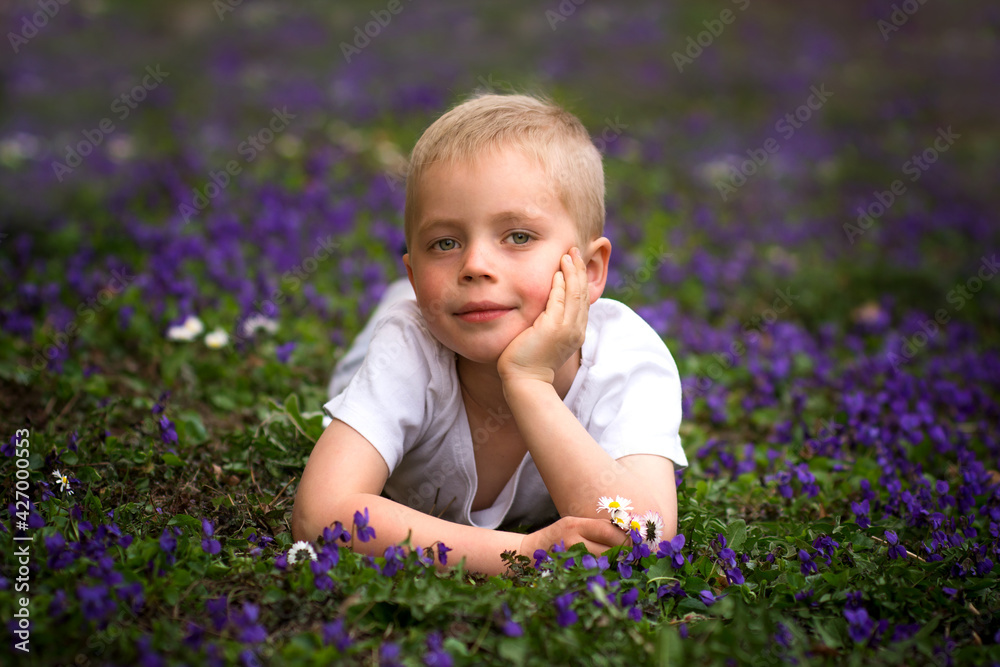 Small boy lying on lawn with violet flowers in park. Kid portrait and spring blossom.
