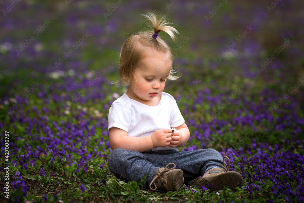 Little baby boy with ponytail sitting in blossom violet flowers. Kid and flowers concept with copy space.