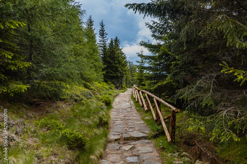 Fototapeta Naklejka Na Ścianę i Meble -  Long mountain trail with panorama of Karkonosze Giant Mountains around